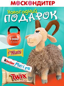 Новогодний подарок Козлик Кузьма